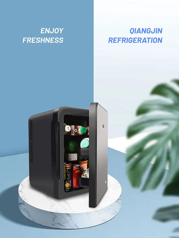 International-10L-refrigerator-mini-refrigerator-student-dormitory-heating-and-cooling-box-system-cosmetics-car-home-dual.jpg